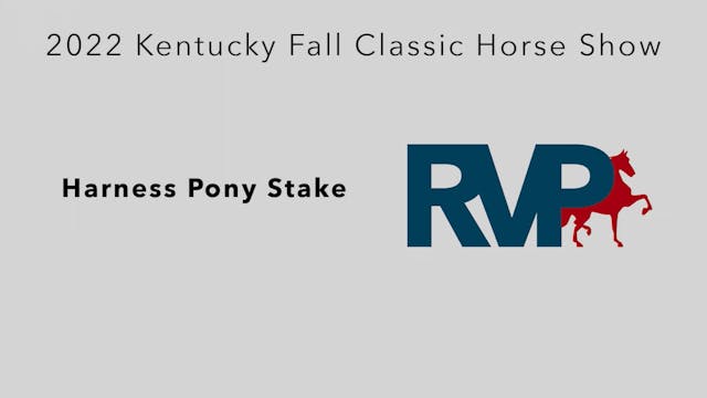 KYFC22 - Class 102 - Harness Pony Stake