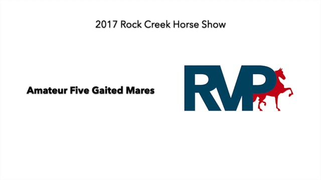 2017 RC - Class 27 Amateur Five Gaite...