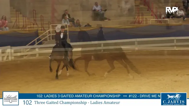 ASC26 - Class 102 - Three Gaited Cham...