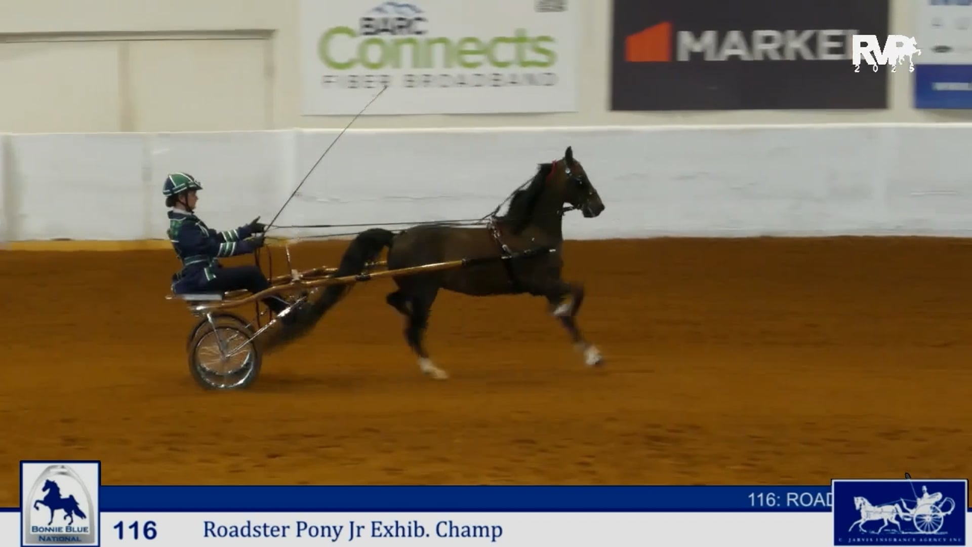 BB25 - Class 116 - Roadster Pony to Bike - Jr. Exhibitor Championship
