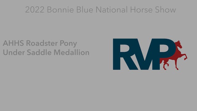 BB22 - Class 72 -  AHHS Roadster Pony...