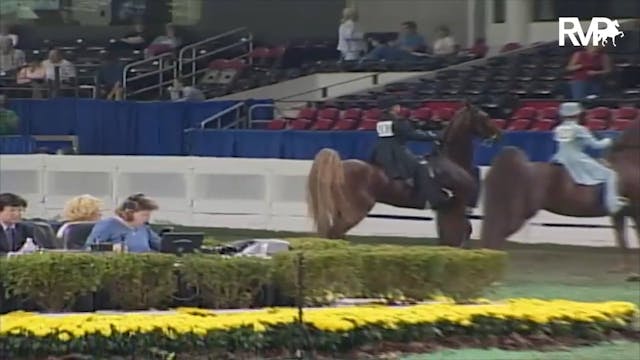 2003 WCHS Class 66 Equitation Open- R...