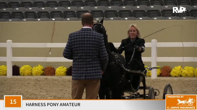 KFC 2020 - Class 15 Harness Pony Amat...