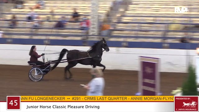 2020 JMHS - Class 45 Junior Horse Cla...