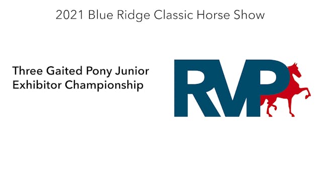 BR21 - Class 174 - Three Gaited Pony ...