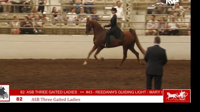 MW24 - Class 82 - ASB Three Gaited La...