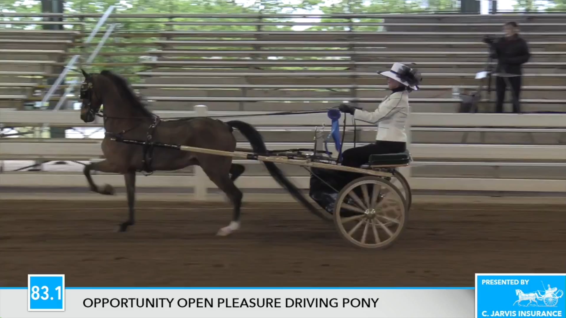 DC17 - Crystal Creek's Foxnominal 