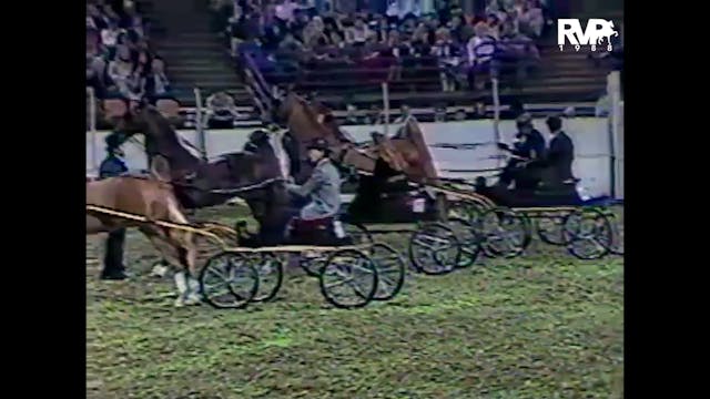 1988 AR - Class 169 Fine Harness Cham...