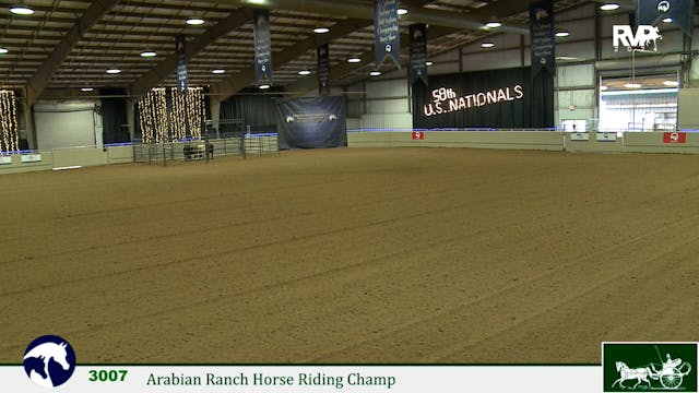 2024 Arabian Nationals - Mustang - Th...