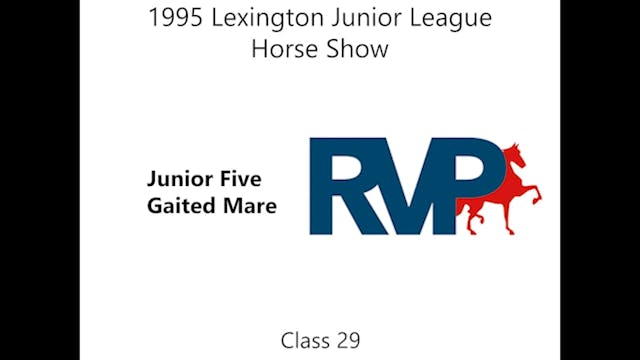 LJL 1995 - Class 29 - Junior Five Gai...