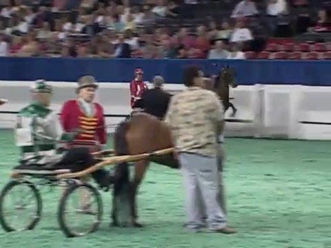 2008 WCHS Class 6 County Fair Roadste...