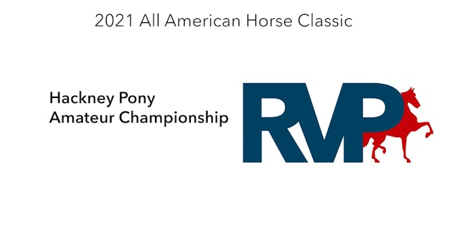AAC21 - Class 116 - Hackney Pony Amat...