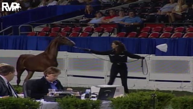 2004 World's Championship Horse Show ...