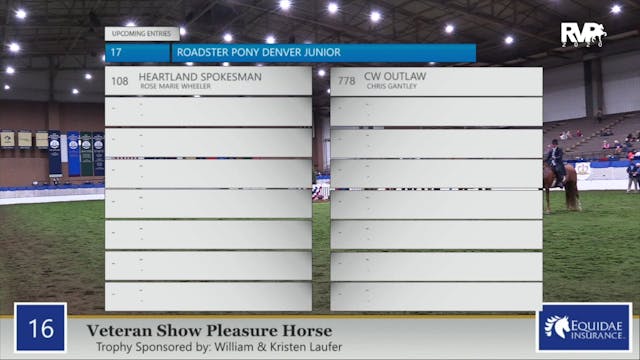 2020 AR - Class 16 Veteran Show Pleas...