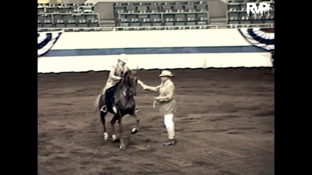 2002 All American - Five Gaited Limit...