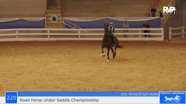 BR23 - Class 220 - Roadster Horse Under Saddle Championship