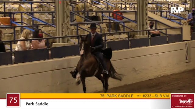 2020 JMHS - Class 75 Park Saddle 