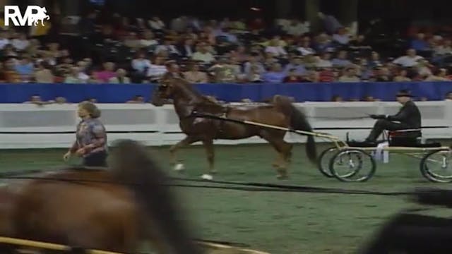 2004 World's Championship Horse Show ...