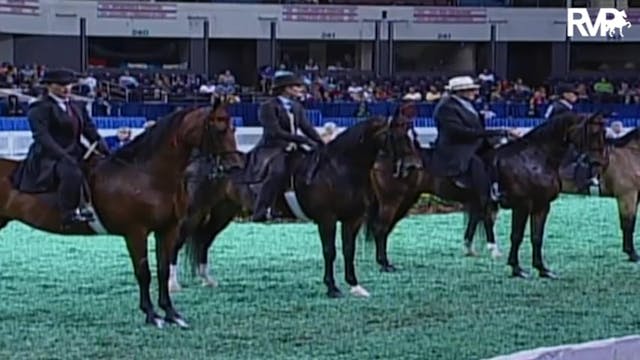 2009 World's Championship Horse Show ...