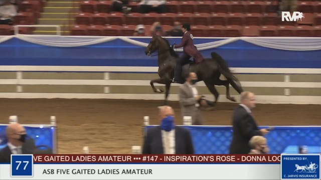 BR20 - Class 77 ASB Five Gaited Ladie...