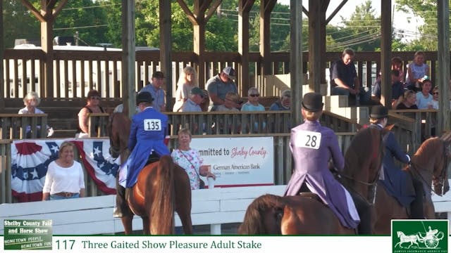 SCF25 - Class 117 - ASB Three Gaited ...