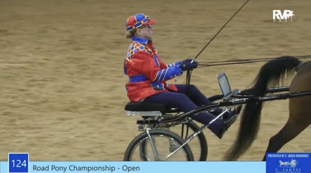 ASC21 - Class 124 - Road Pony Open Ch...