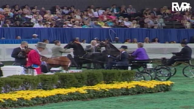 2004 World's Championship Horse Show ...