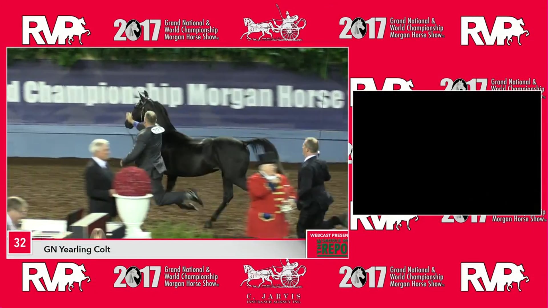 MGN17 - Class 31 - GN Stallion In-Hand Amateur Finals