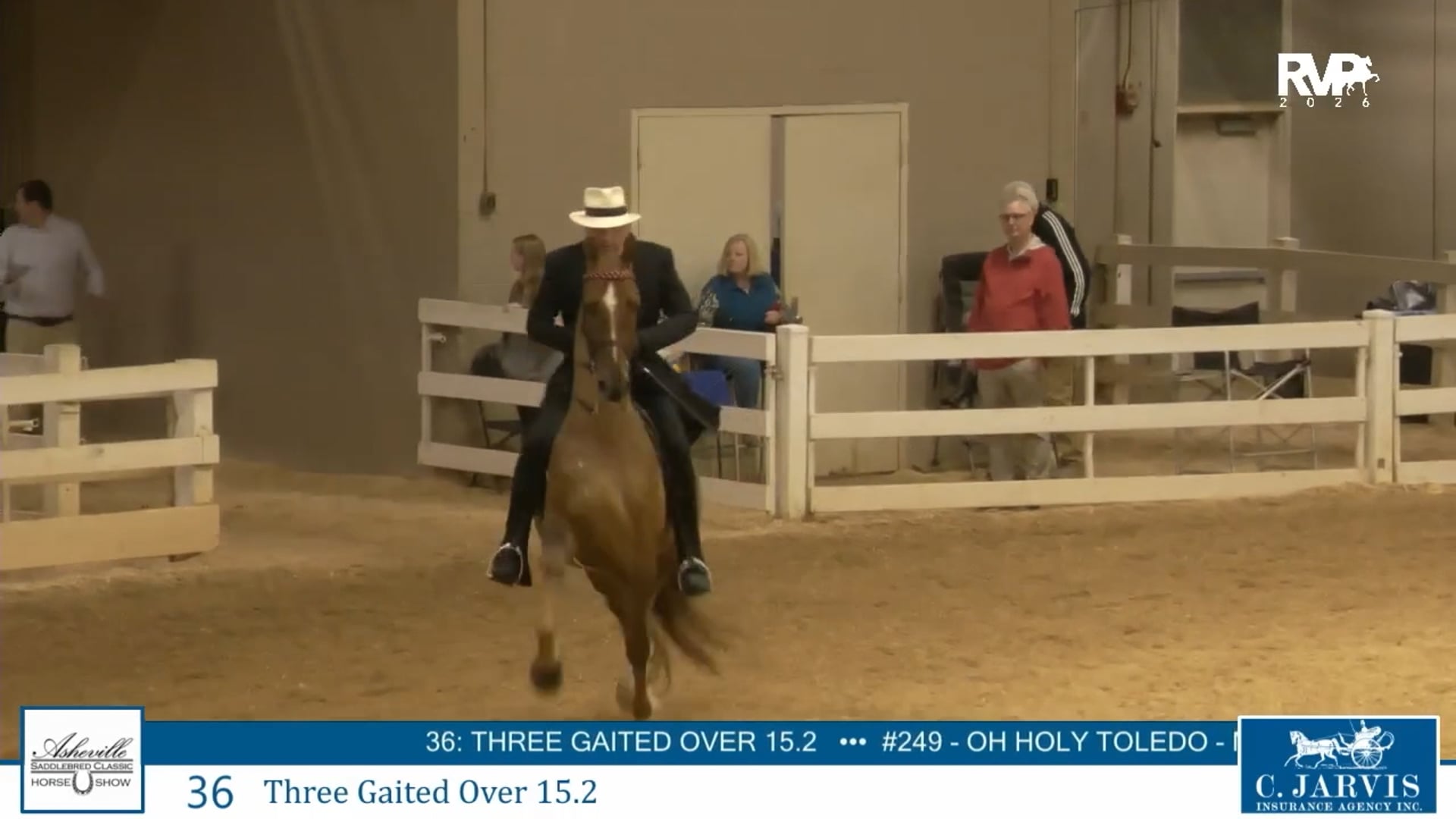 ASC26 - Class 36 - Three Gaited Over 15.2