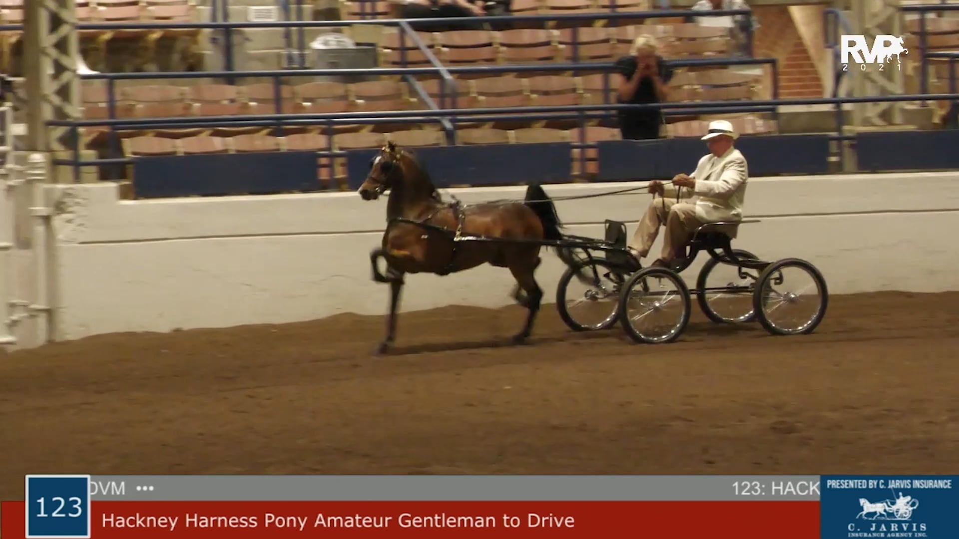 MW21 - Class 123 - Hackney Harness Pony Amateur Gentleman to Drive