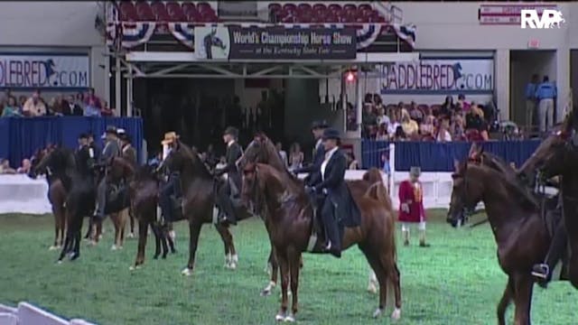 2010 World's Championship Horse Show ...