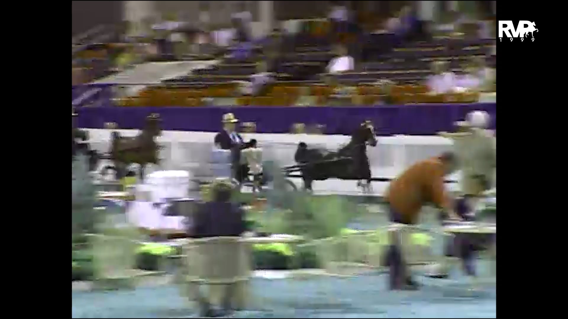 1999 WCHS - Class 65 Four Year Old Hackney Pony Stake