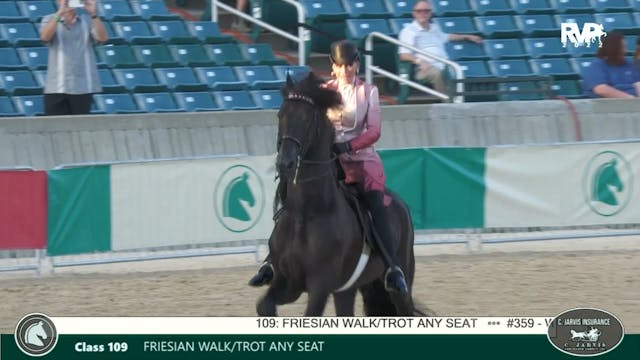 LJL22 - Class 109 - Friesian Walk-Tro...
