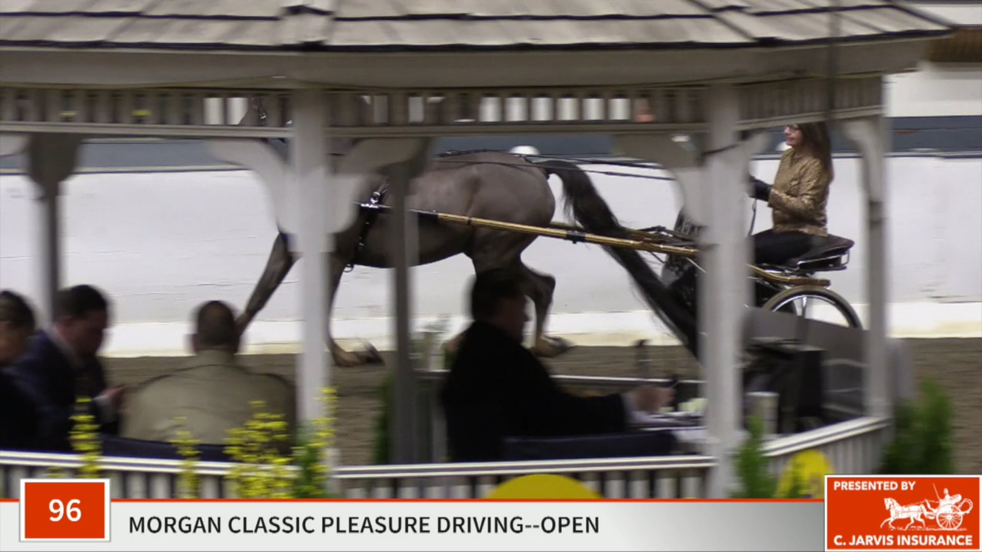 UPHA14-19 - Class 96 - Fox Hollow Talk About Me