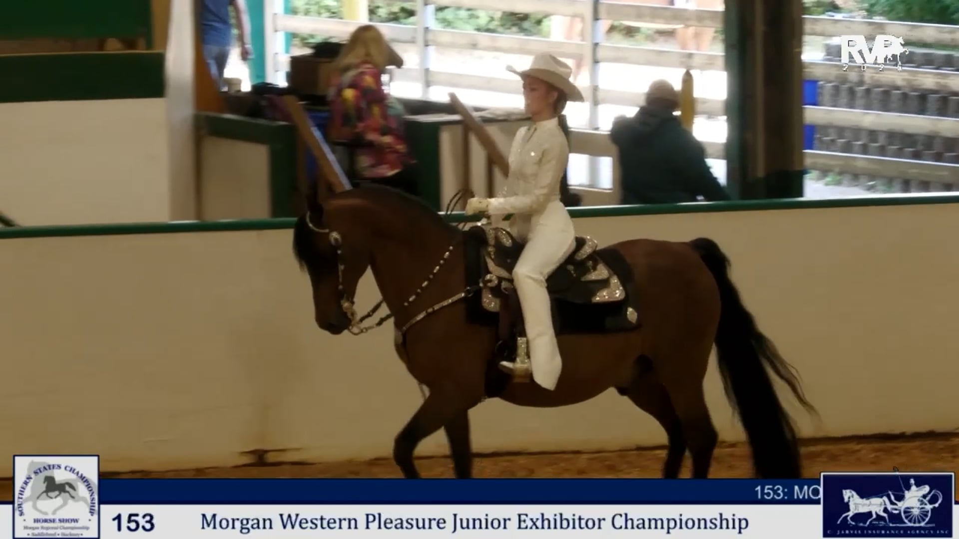 SS25 - Class 153 - Morgan Western Pleasure Junior Exhibitor Championship