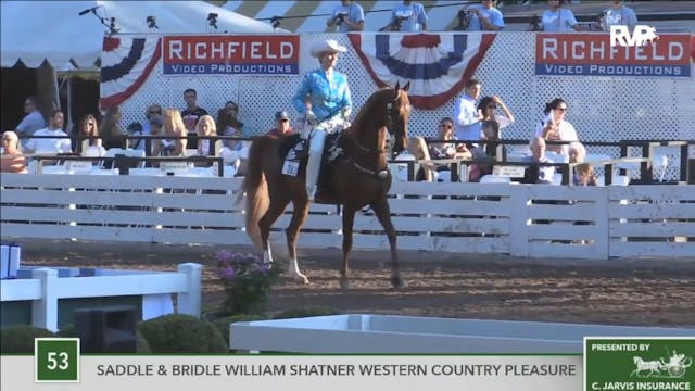 2016 RC - Class 53 Saddle & Bridle Wi...