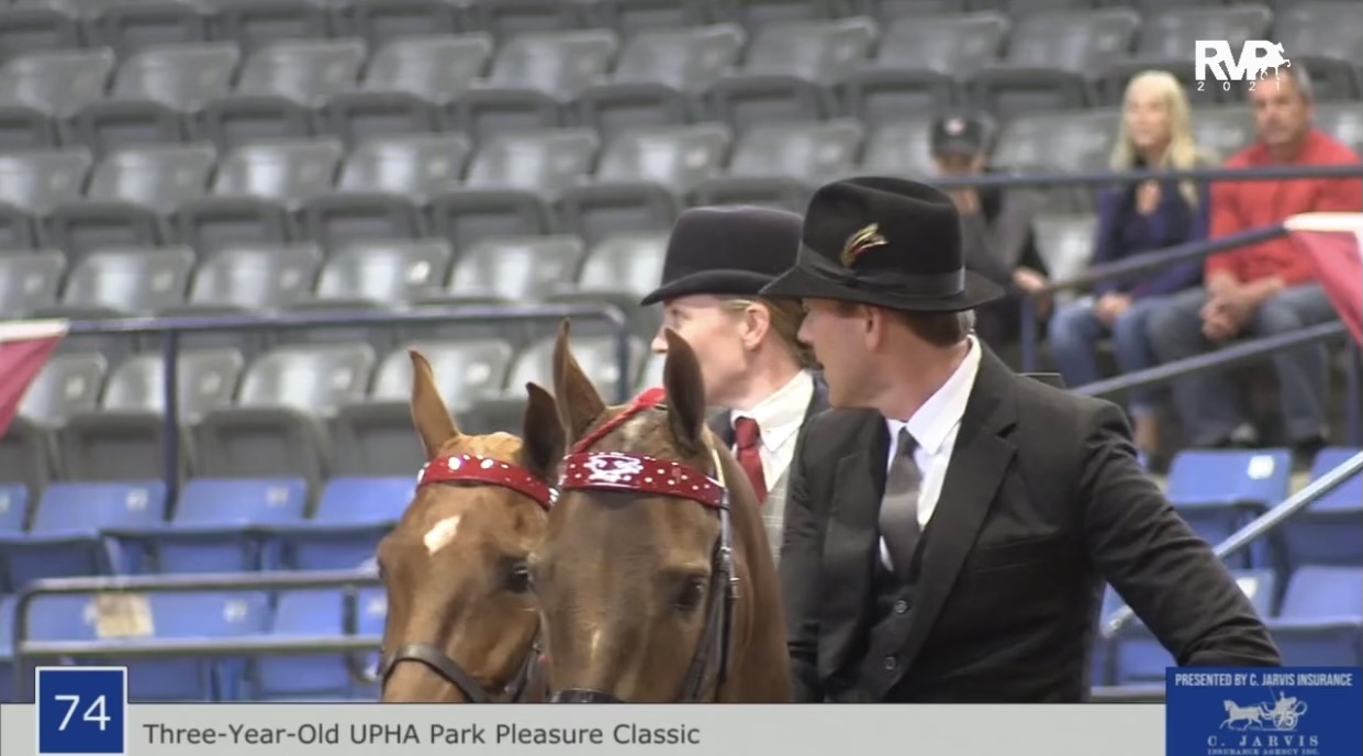 BB21 - Class 74 - UPHA Three Gaited Park Pleasure Classic 