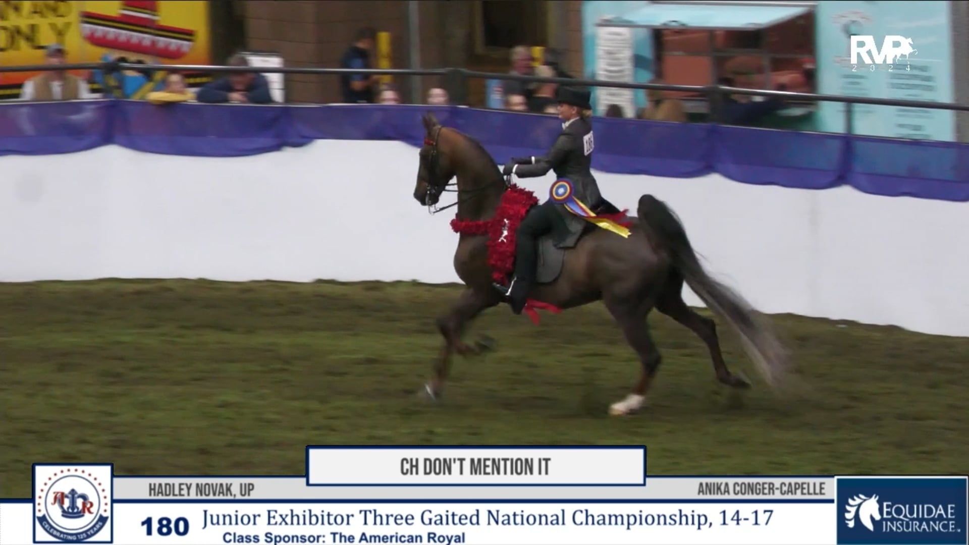 AR24 - Class 180 - CH Don't Mention It and Hadley Novak, Up