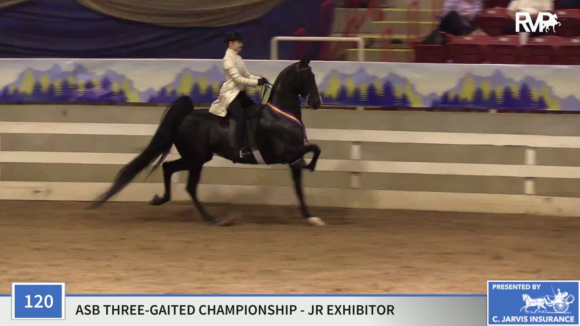 ASC19 - Class 120 - CH She's Born to Sparkle