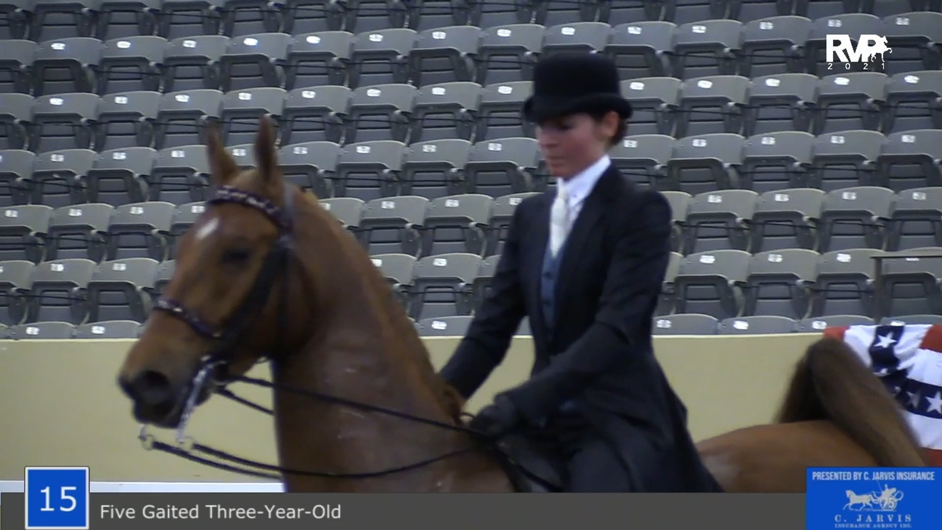 KYSP21 - Class 15 - Five Gaited Three Year Old