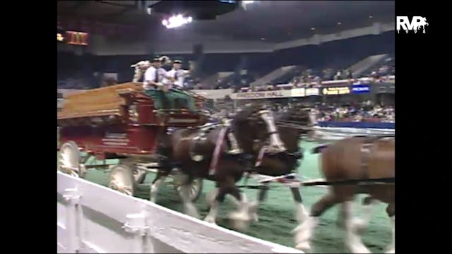 1998 WCHS - Budweiser Clydesdales Pre...