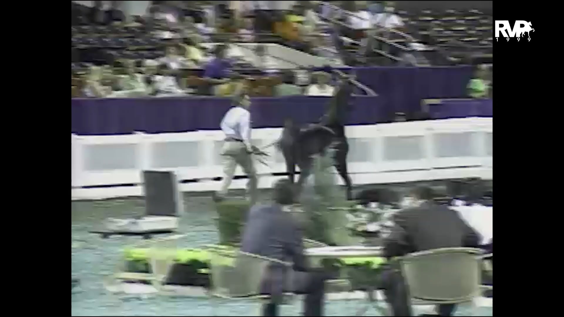 1999 WCHS - Class 80 Open Breeder’s Stake - Yearlings