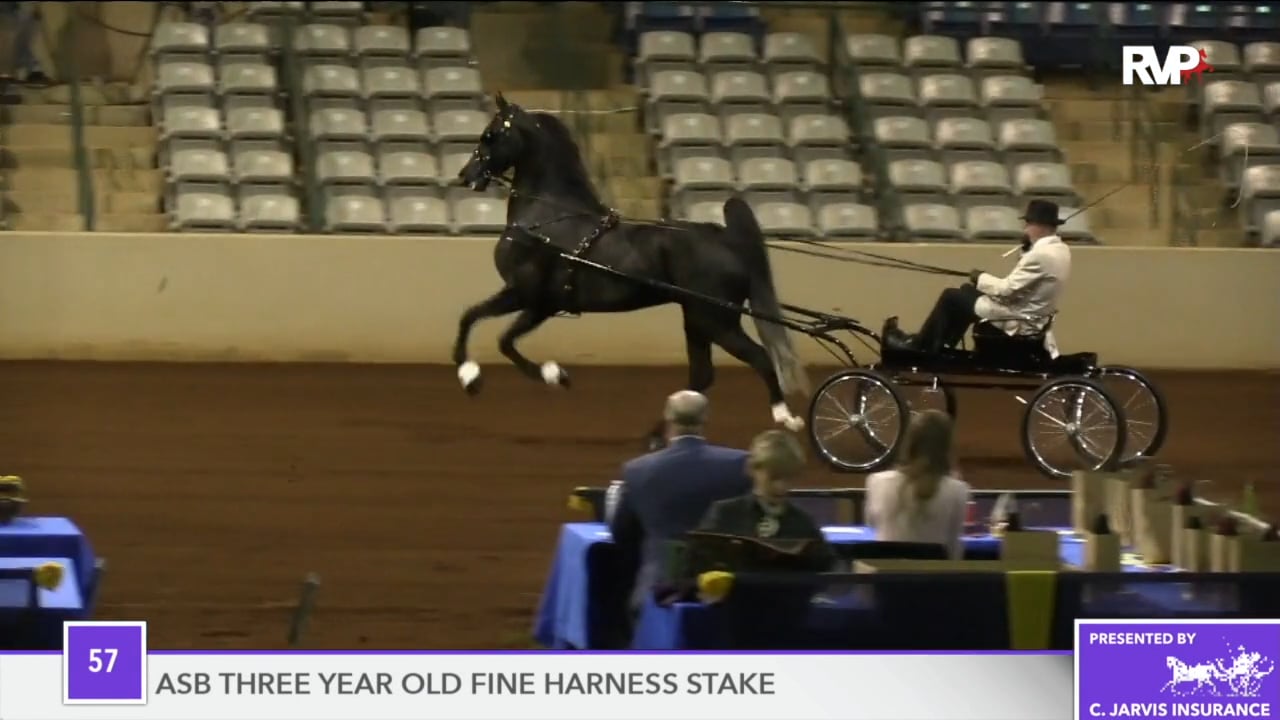 SSFF18 - Class 57 - Here Comes Spidey