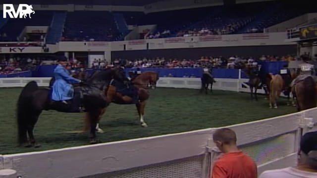 2004 World's Championship Horse Show ...