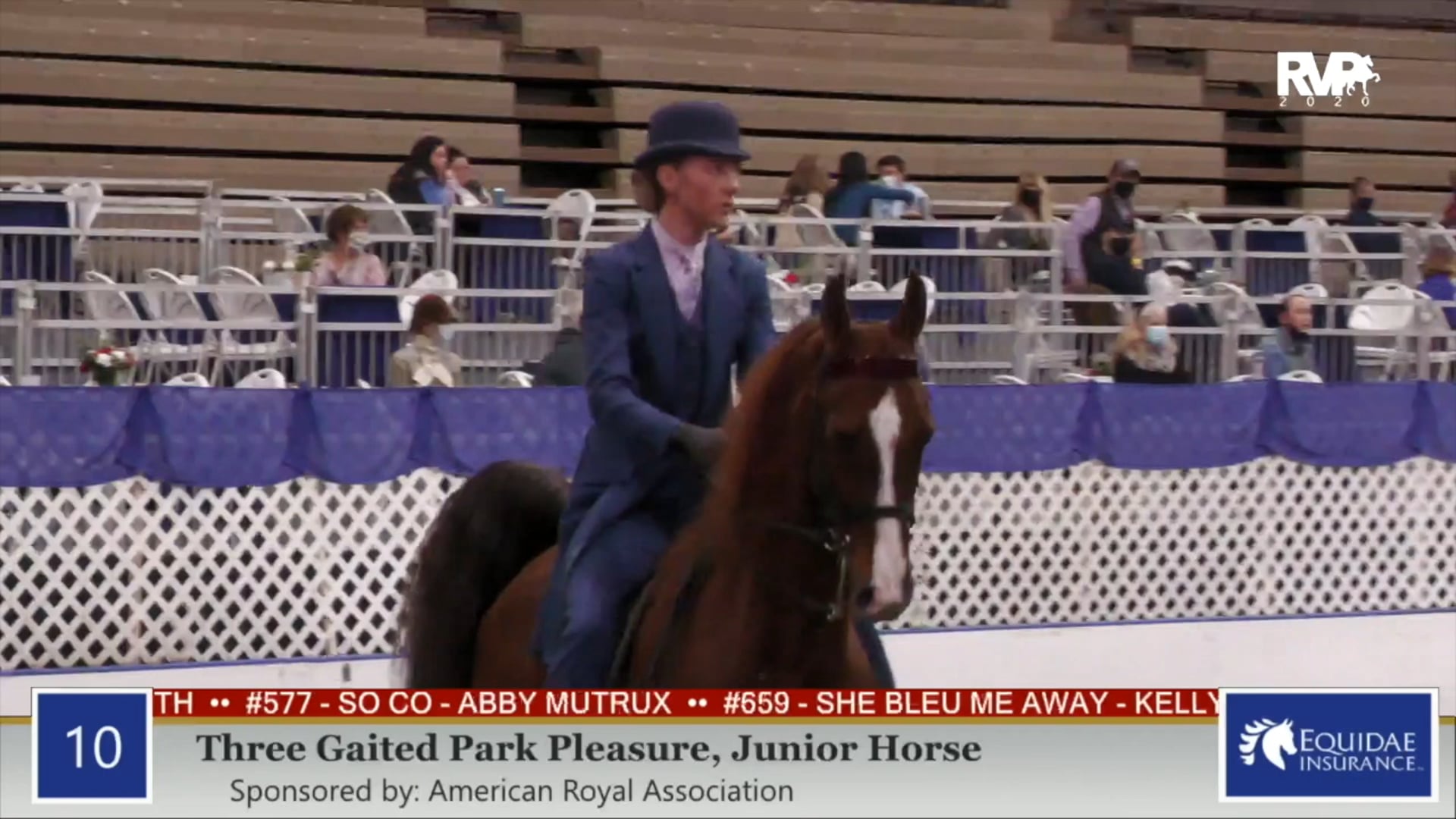 2020 AR - Class 10 Three Gaited Park Pleasure
Junior Horse