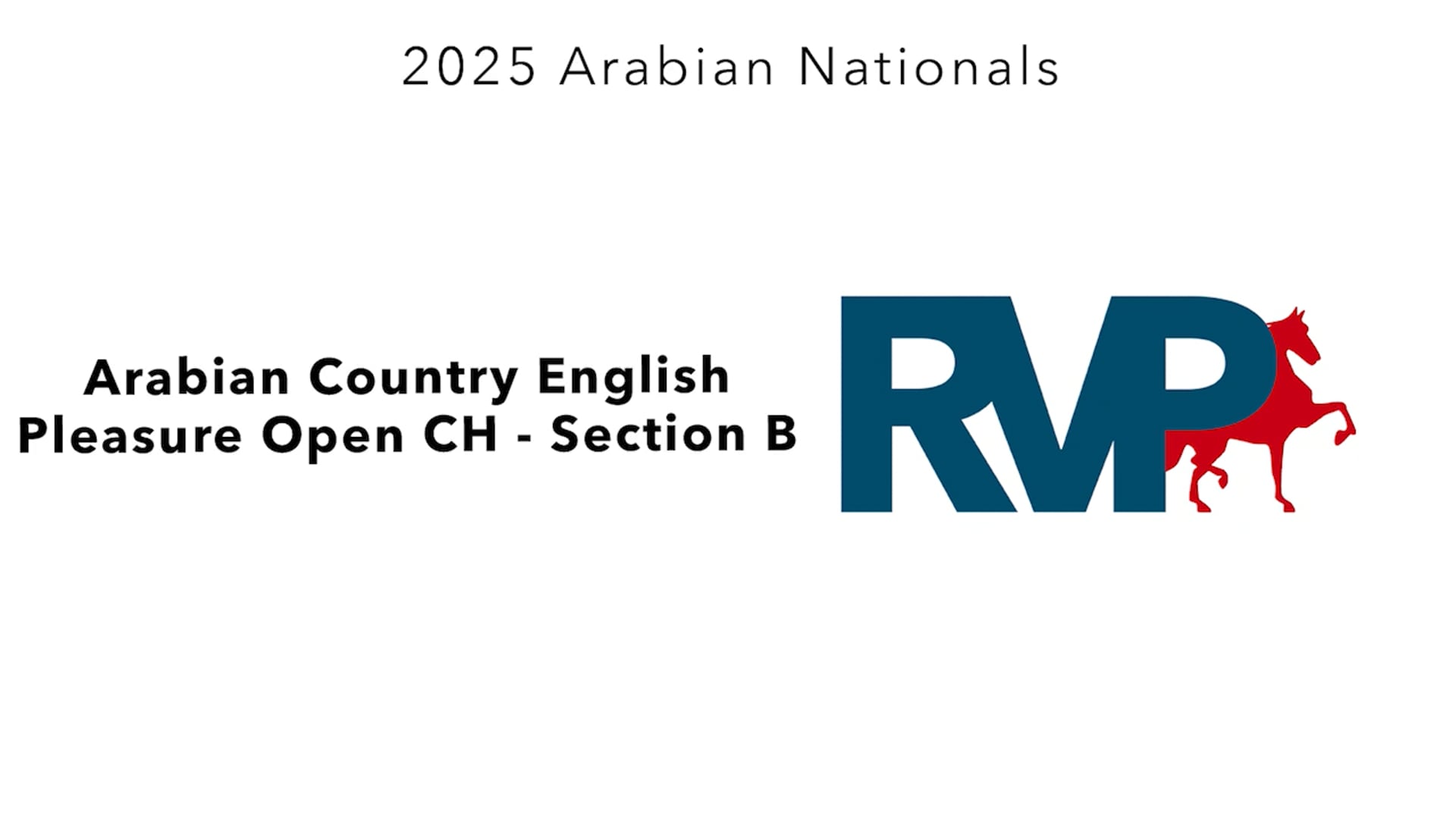 AN25 - Class 96b - Arabian Country English Pleasure Open CH - Section B