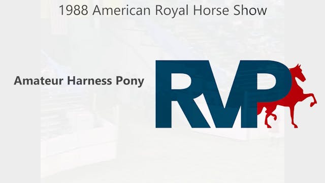 AR 1988 - Amateur Harness Pony
