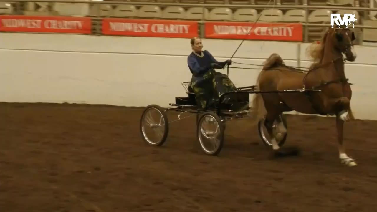 2025 Southern States - Wednesday Afternoon