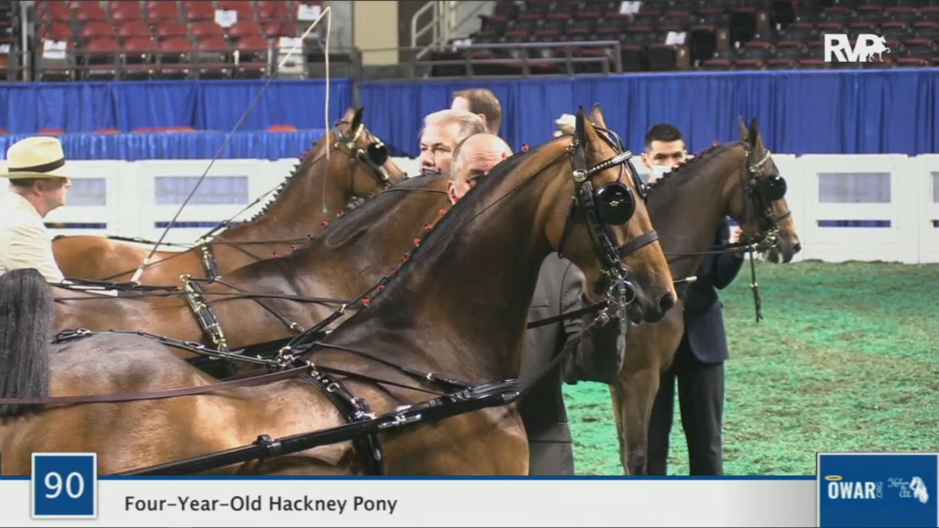 WCHS 2020 Class 90 - Four-Year-Old Hackney Pony