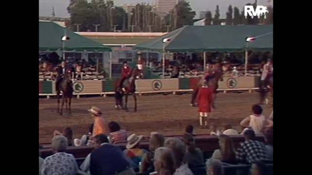 LJL 1995 - Class 73 - Three Gaited Sh...